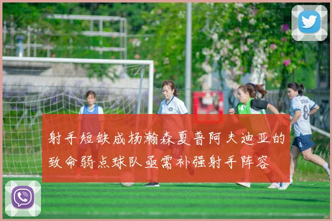 射手短缺成杨瀚森夏普阿夫迪亚的致命弱点球队亟需补强射手阵容
