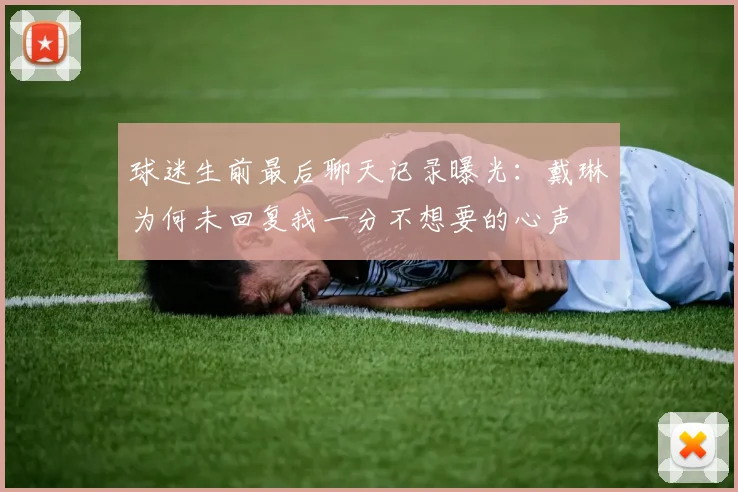 球迷生前最后聊天记录曝光：戴琳为何未回复我一分不想要的心声